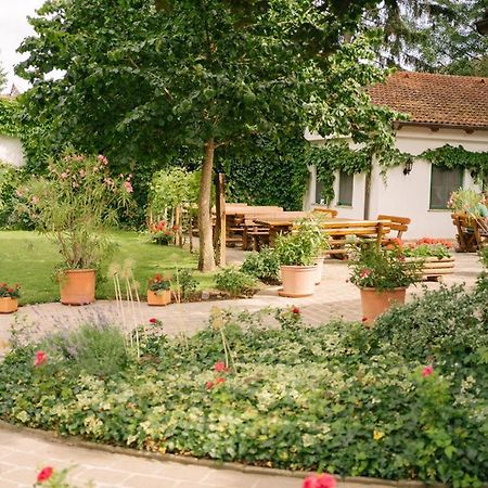 Hotel-Restaurant-Vinothek Felix Sommer Auersthal Esterno foto